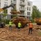 Вывоз древесного мусора с многоквартирных домов